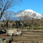 富士ｻﾌｧﾘﾊﾟｰｸ