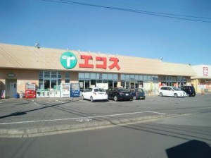 00000000000000084737_0000006465_1