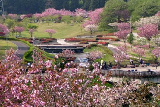 那珂市静峰公園