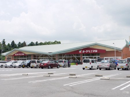ヨークベニマル豊里店