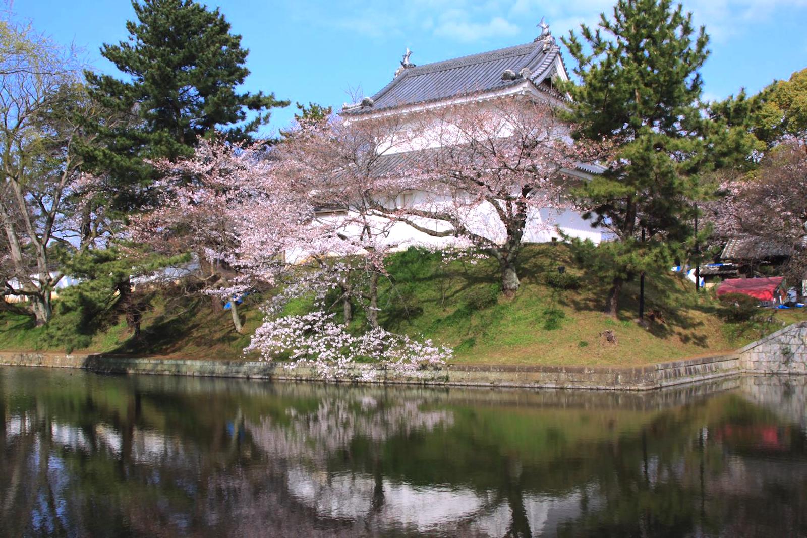 亀城公園